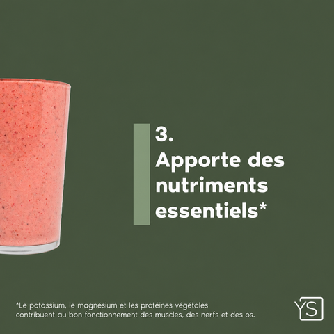 Starter - nutriments essentiels