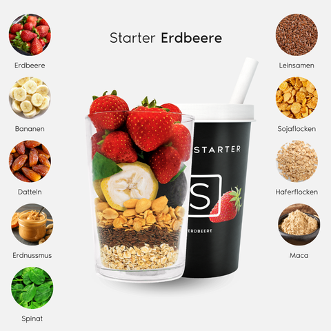 Starter  –  Erdbeere