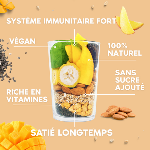 Starter  - Mangue