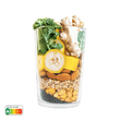 Starter  - Gingembre Vert