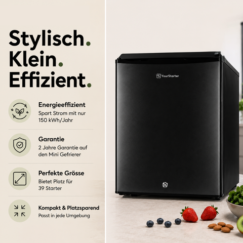 Mini Gefrierschrank 42L