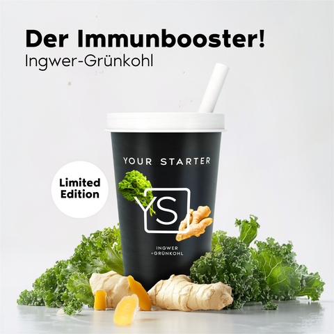 Starter  –  Ingwer Grünkohl