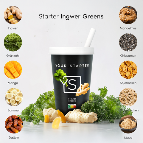 Starter  –  Ingwer Greens